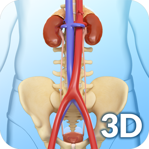 My Urinary System icon