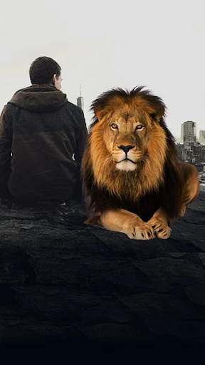 Wild Animal Camera Photo  Editor screenshot 5