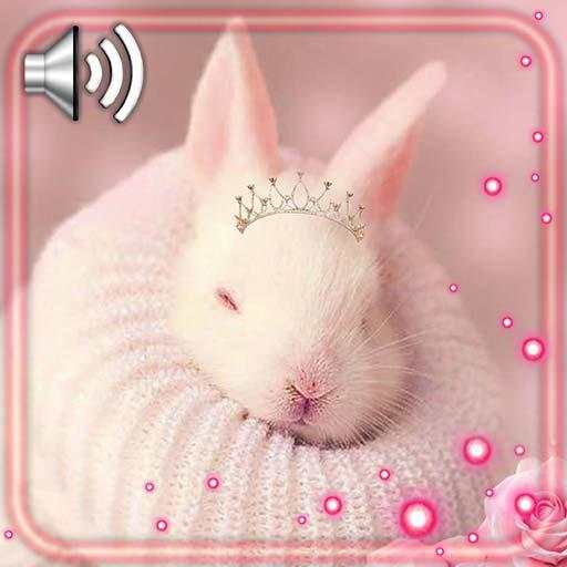 Bunnies Glamour Live Wallpaper 1.2