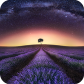 HD Star Wallpaper icon