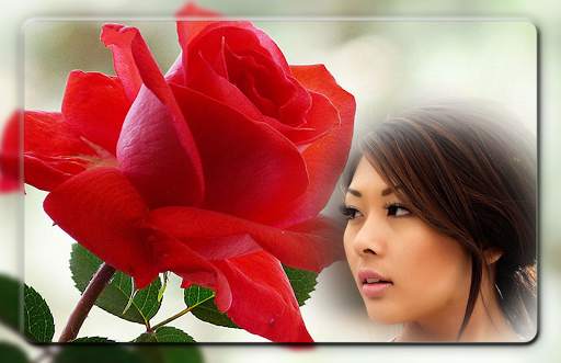 Red Rose Photo Frames screenshot 5
