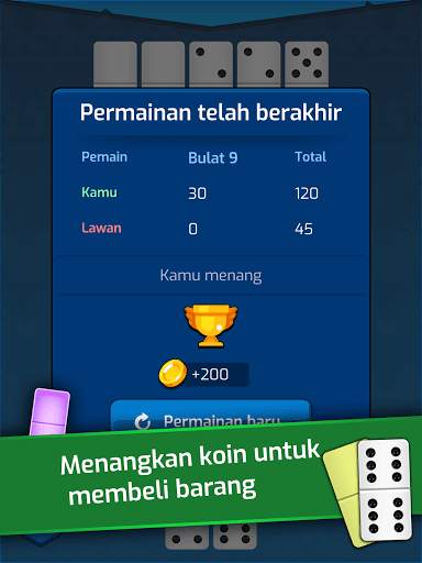 Dominoes screenshot 14