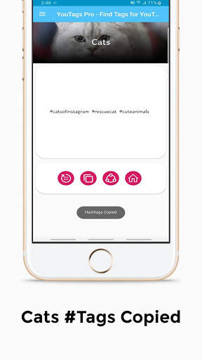 YouTags Pro - Find Tags for YouTube Videos screenshot 3