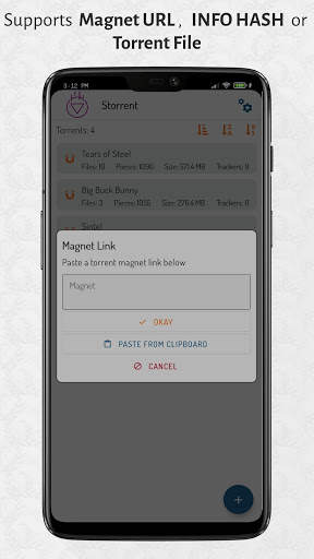 Storrent - Torrent Streamer & Downloader screenshot 3