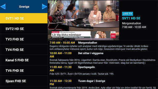 IPTV Tigerkanaler Player screenshot 3