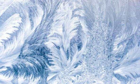 Frost Wallpapers screenshot 1