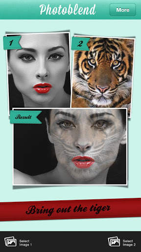 PhotoBlend screenshot 3