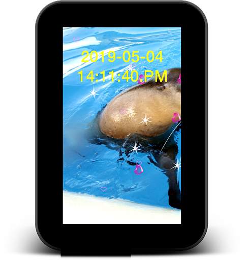 Dolphin Live Wallpaper - Screen Lock, Sensor, Auto screenshot 10