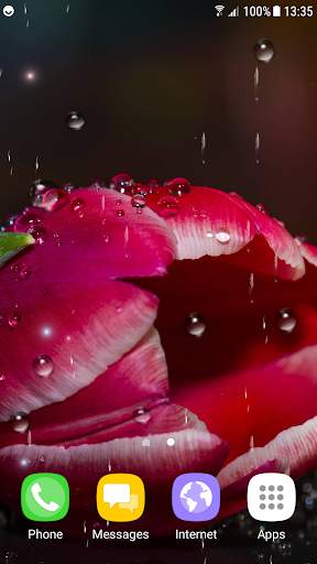 Tulips Live Wallpaper screenshot 5
