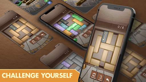 Unblock 3D Puzzle screenshot 7