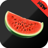 Melon VPN Free icon