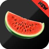 Melon VPN Free 4.6