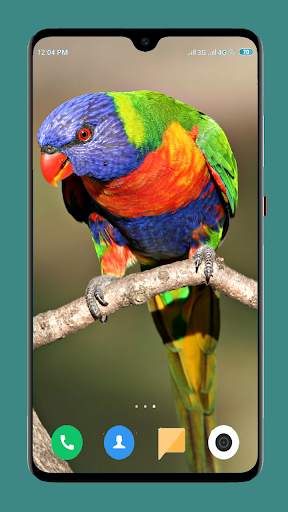 Parrot Wallpapers 4K screenshot 6