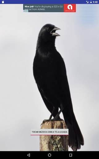 Black Bird screenshot 4