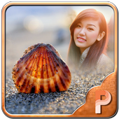 Seashell Photo Frames icon