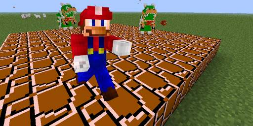 Super Mario Mod for Minecraft screenshot 4
