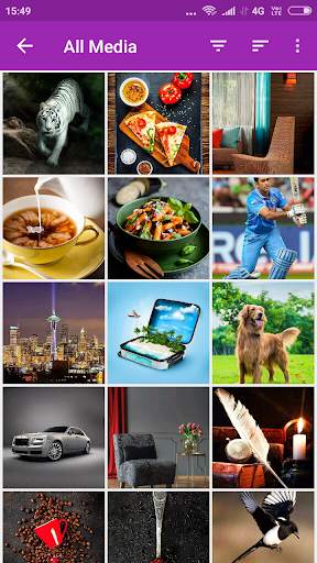 Secure Gallery (Hide/Lock Photos & Videos) 2 تصوير الشاشة