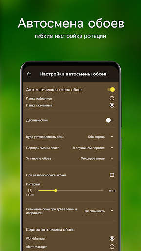 Обои котята | Котики от 7Fon скриншот 5