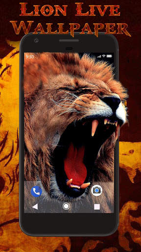 Wild Lion Live Wallpaper screenshot 2