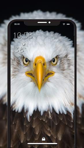 Bird Wallpaper – HD Wallpaper screenshot 2