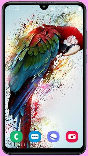 Parrots Wallpaper Best HD screenshot 11