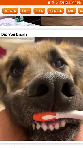 Daily Funny Pictures & Gifs screenshot 3