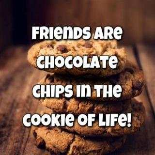 Cool Funny Quotes Free images screenshot 15