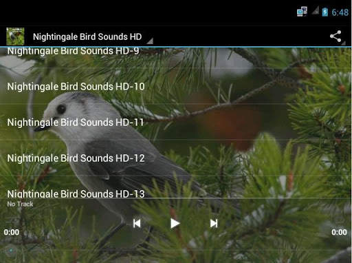 Nightingale Bird Sounds HD screenshot 2