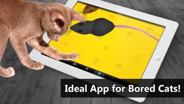 Cat Toys - MouseHunt Cat Games скриншот 2