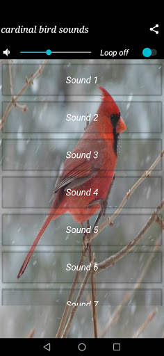 cardinal bird sounds screenshot 2