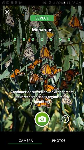 Seek par iNaturalist screenshot 1