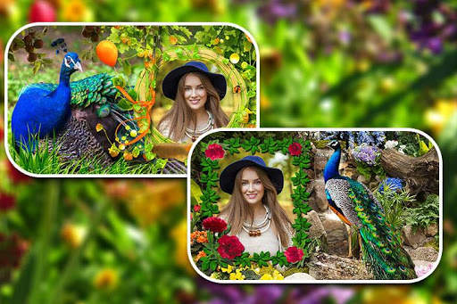 Peacock Photo Frames screenshot 15
