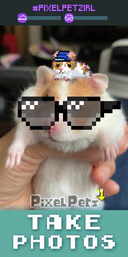 Pixel Petz screenshot 4