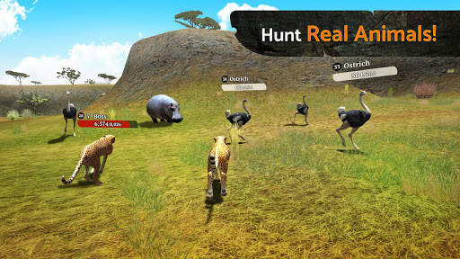 The Cheetah screenshot 2