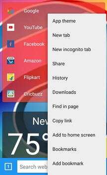 Your Browser screenshot 3
