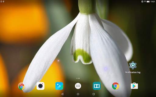 Spring Flowers Live Wallpaper screenshot 10