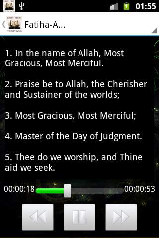 Holy Quran video and MP3 screenshot 6