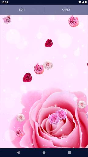 Spring Rose Live Wallpaper screenshot 5