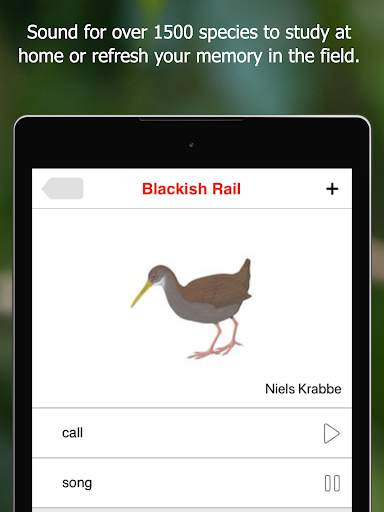 Birds of Ecuador screenshot 19