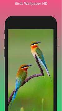 HD Best Birds Wallpaper 4K - Mobile Themes screenshot 1