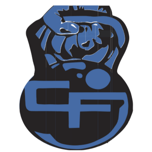 CapFit icon