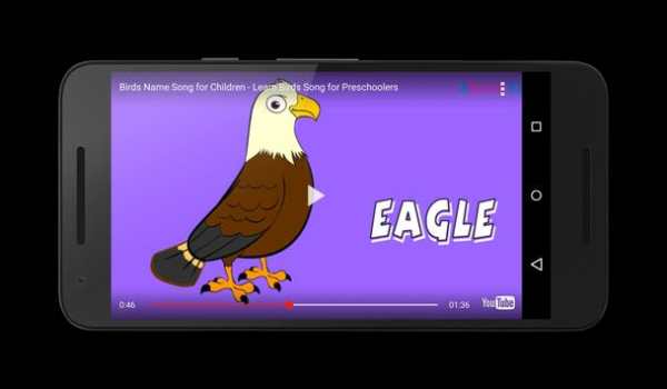 Animals & Birds for Kids screenshot 5