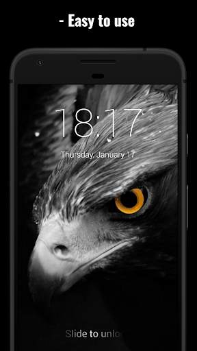 Eagle Lock Screen 1 تصوير الشاشة