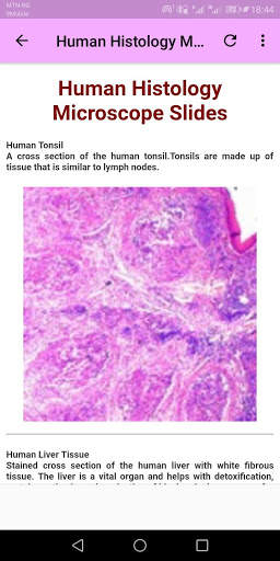 Human Histology screenshot 7