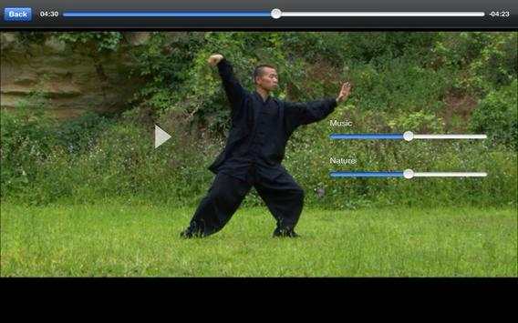 Tai-Chi Lite screenshot 6