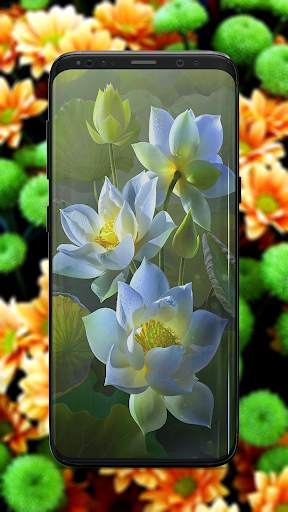 Flower Wallpaper screenshot 3