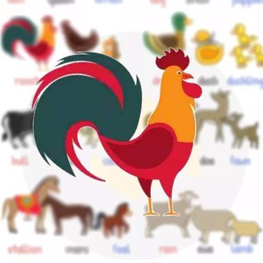 Animals vocabulary - guess picture 🤣 2