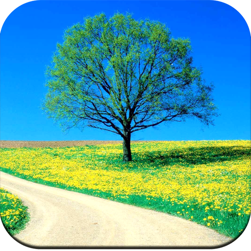 Nature Wallpaper 4K icon