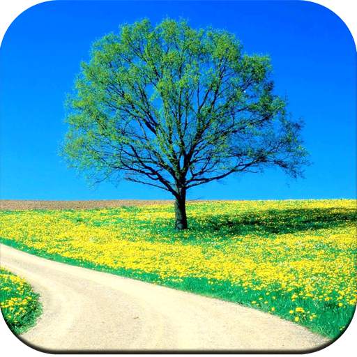 Nature Wallpaper 4K 1.14