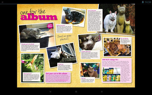 Cat World screenshot 3